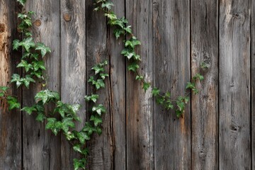green leaves on wooden background