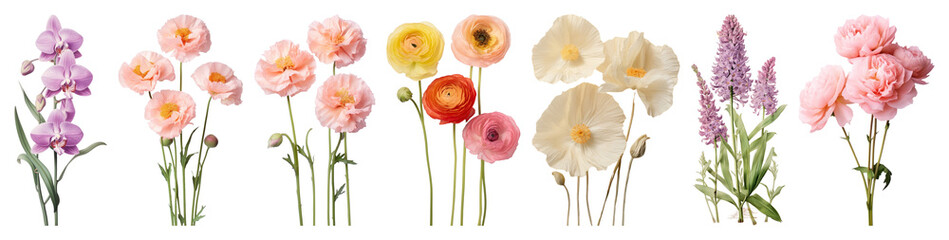 Fototapeta premium PNG Colorful delicate floral arrangement, element set on transparent background