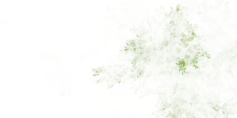 Mikroskopische filigrane organische grüne Fraktalstruktur – faszinierendes Gewächs in wissenschaftlicher Forschung, Natur, Biologie, Wissenschaft, Forschung
