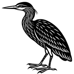 Fototapeta premium bittern silhouette victor black