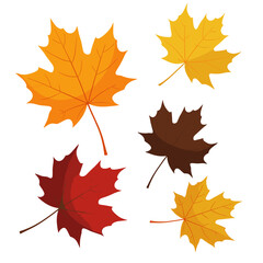 Colorful maple leaves in autumn shades create vibrant fall designs and seasonal promotions for your business