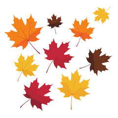 Fototapeta premium Fall foliage colorful maple leaves creates stunning autumn season mood for your next design project