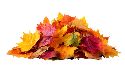 Vibrant pile of autumn leaves in warm reds, yellows, and oranges creating a cozy seasonal feel isolated on white background 