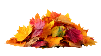 Vibrant pile of autumn leaves in warm reds, yellows, and oranges creating a cozy seasonal feel isolated on white background 
