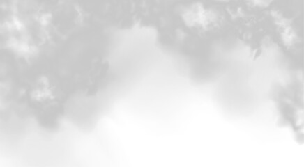 Fog or smoke isolated transparent special effect. Cutout clean white cloud transparent backgrounds special effect 3d illustration.	