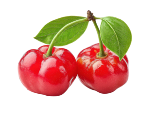 two red cherries with leaves on transparent background