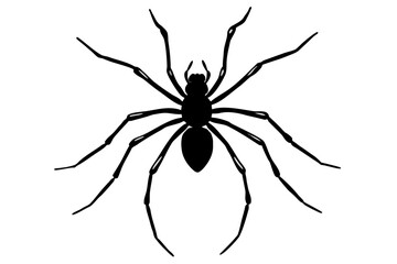 A solitary black spider, a fascinating arachnid of nature, is perfectly isolated on a white background, a potentially scary sight for those with arachnophobia