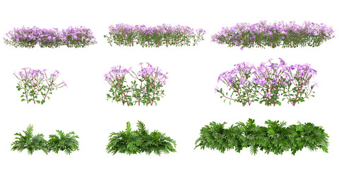 3d illustration of Phlox,Philodendron plants on transparent background © Saifstock