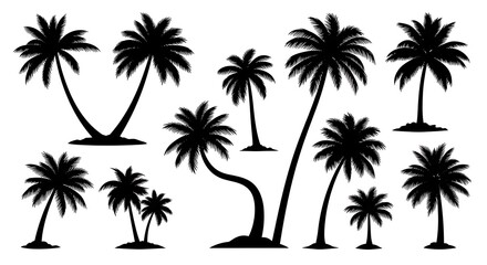 Fototapeta premium Assortment of Black Silhouette Palm Trees with Varied Trunk Shapes and Frond Styles tropical beach