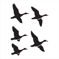 Black silhouette duck illustration set in dynamic flying poses ideal for nature-themed vector packs