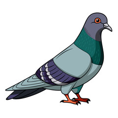 vector illustration of a dove