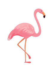 Cute Pink Flamingo. Flat vector clipart, illustration with isolated background.