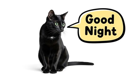 Charming Black Cat with Bright Green Eyes Wishes Good Night in a Yellow Speech Bubble on White Background