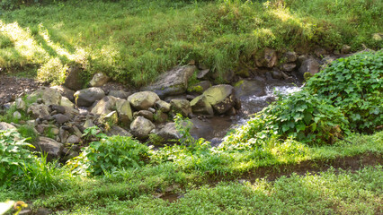 A tranquil river flows over mossy rocks, reflecting the lush green landscape under a serene sky