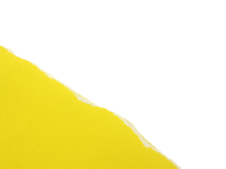 Pieces of torn or cut yellow paper, design elements isolated on white background.