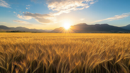 Obraz premium Golden wheat field under a beautiful sunset sky with mountains