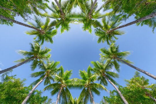 Palm trees form a starburst pattern against a vibrant blue sky - Powered by Adobe