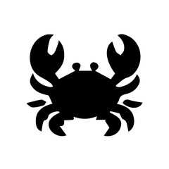 Fototapeta premium black and white Hermit Crab