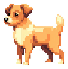 Obraz premium PNG Dog mammal animal puppy.