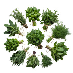 Obraz premium Assortment of fresh herbs, including basil, rosemary, sage, dill, mint, thyme, oregano, parsley isolated on transparent background