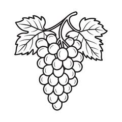 vector illustration of grapes