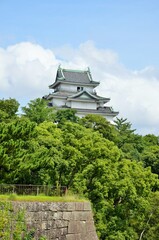 Obraz premium 和歌山城 天守閣