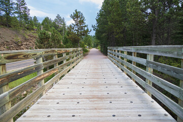 Fototapeta premium Bridge on the George S. Mickelson trail, South Dakota
