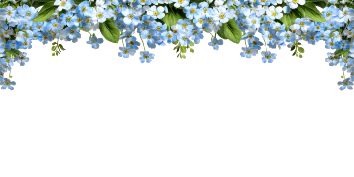 Delicate light blue blossoms with green leaves arranged as a decorative border against a white background, cut out transparent