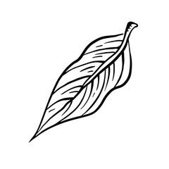 Plant leaf style sketch monochrome
