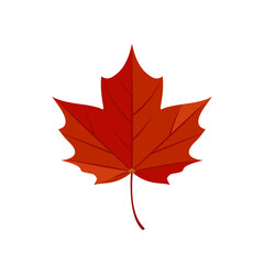 Red maple leaf isolated on white background. Vector cartoon flat illustration. Autumn leaf icon.