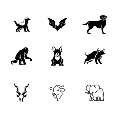 Fototapeta premium Animal Illustrations Set: Mammals and Creatures Vector