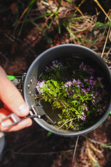 Hand stirring hot thyme tea