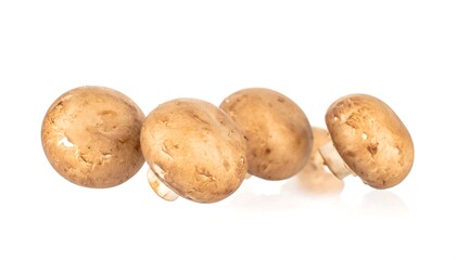 Brown button mushrooms