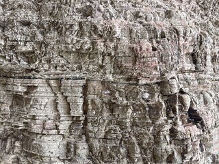 A close-up view of textured rock displaying intricate patterns and layers, highlighting the natural beauty and geological features of the surface.