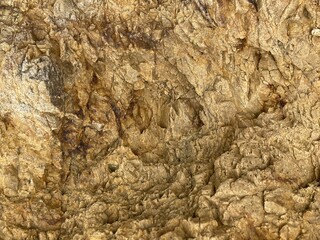 A close-up view of textured surfaces resembling natural stone or bark, showcasing various shades of brown and intricate patterns.