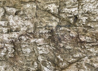 A close-up view of textured rock surfaces displaying intricate patterns and natural colors, highlighting geological features.