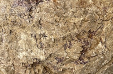 A close-up view of a textured, cracked brown rock surface, showcasing natural patterns and mineral formations.