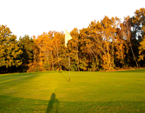 Beautiful golf course with green fairway and flag on the side, golden hour lighting 