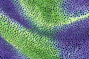 Abstract, textured surface with vibrant dots