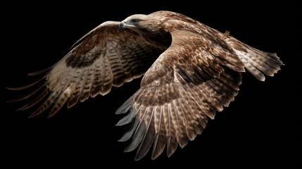 Close-up of soaring eagle with wings spread
