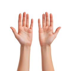 Obraz premium Two Open Human Hands Facing Upwards on Transparent Background palms fingers, Isolated On White, Png Transparent, Cut Out