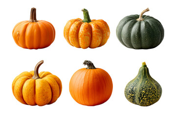 Colorful array of pumpkins for autumn decoration