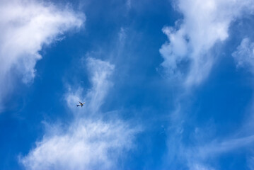 Airplane flying in the blue sky with clouds