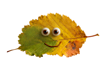 Autumn leaf character with a smiley face