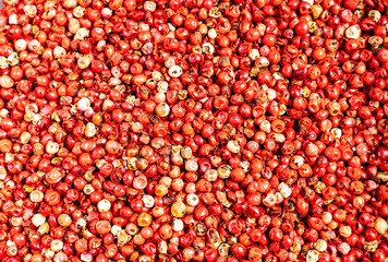 Bright red peppercorns scattered across a textured surface for culinary use in cooking or spice blends during a vibrant food preparation session