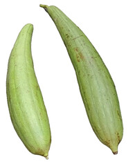 Sponge gourd or Luffa vegetable isolated on a transparent background