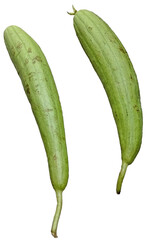 Sponge gourd or Luffa vegetable isolated on a transparent background