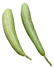 Sponge gourd or Luffa vegetable isolated on a transparent background