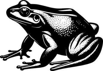 Minimalist Frog icon Amphibian and Wildlife Nature 