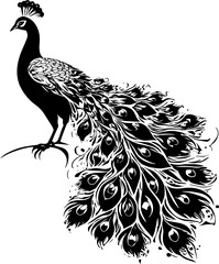 Fototapeta premium Majestic Peacock with Feathers Spread Vector